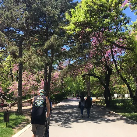X Varna Άγιος Κωνσταντίνος και Ελένη